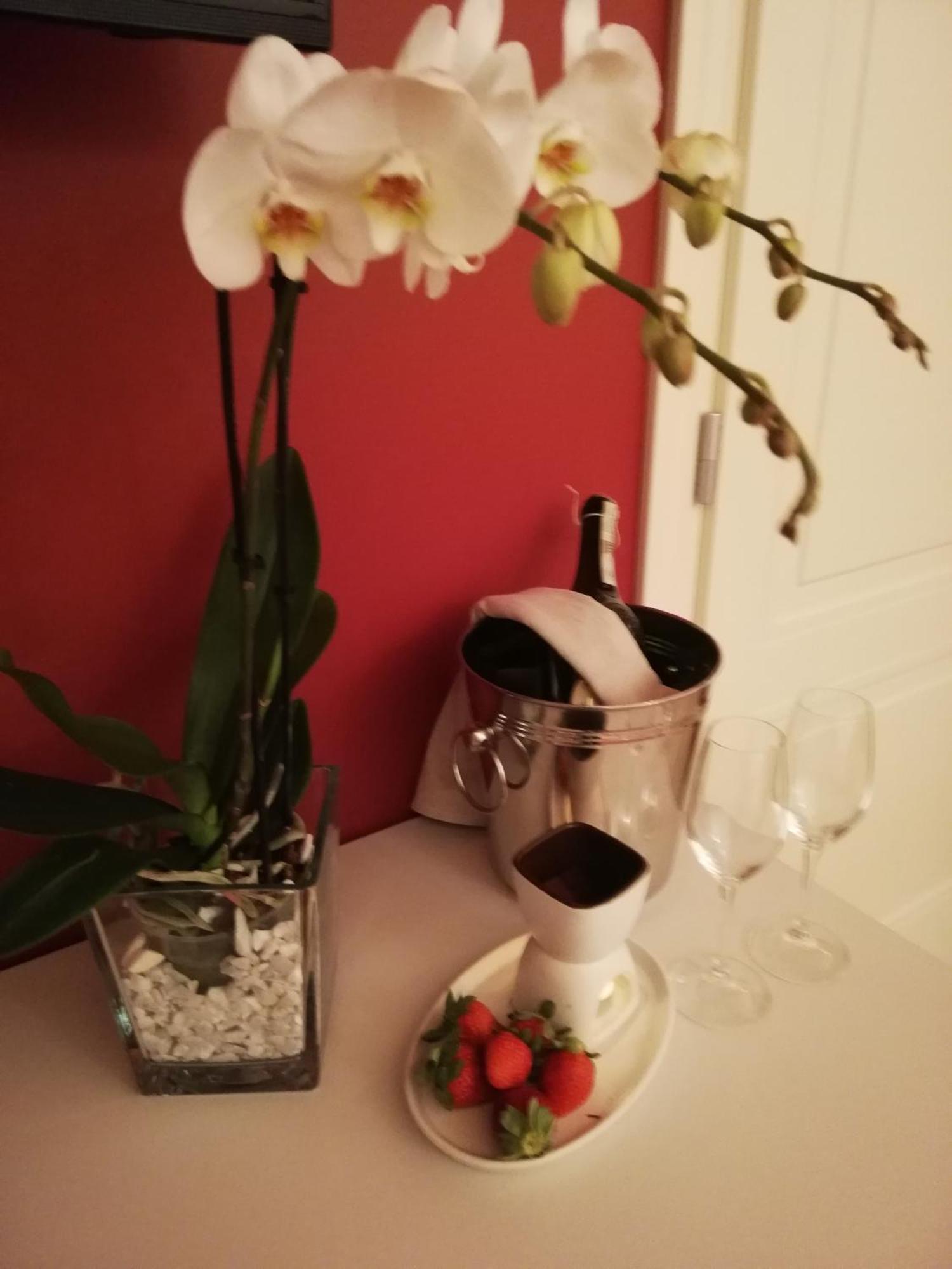 Agriturismo N'Uova Campagna - Bologna — Foto 1
